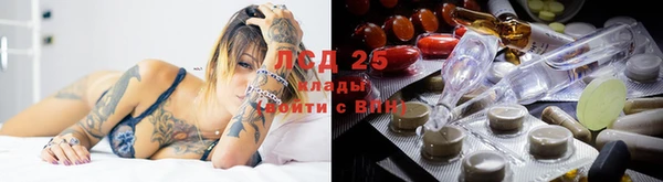 спиды Няндома