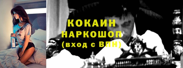 спиды Няндома