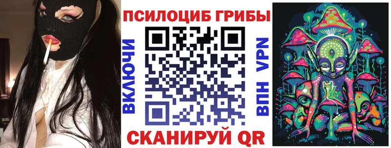 Галлюциногенные грибы Psilocybe  цены   Руза 